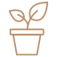 potted-plant